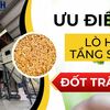Lợi ích khi sử dụng lò hơi tầng sôi đốt trấu
